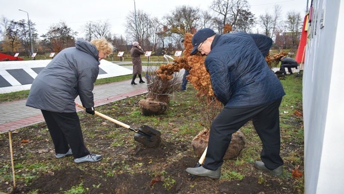 Birleşik Rusya aktivistleri Voronej ve Tver bölgelerindeki anıtlara ve parklara ağaç dikti